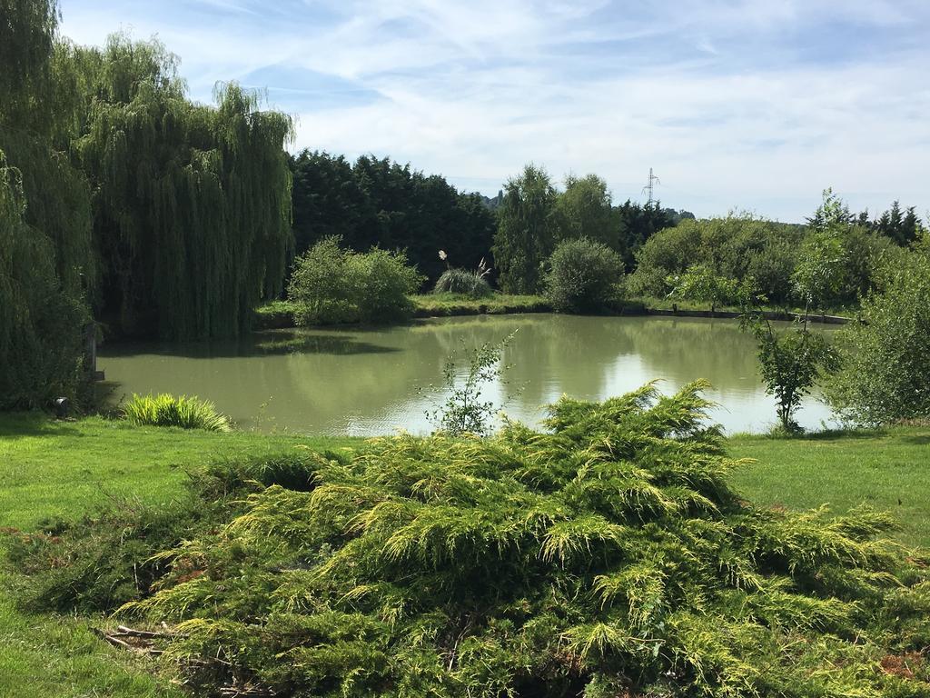 Gites - Domaine de Geffosse Pont-Évêque Extérieur photo